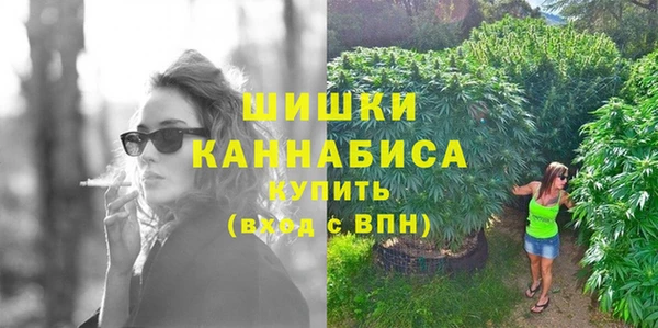 МДПВ Рославль